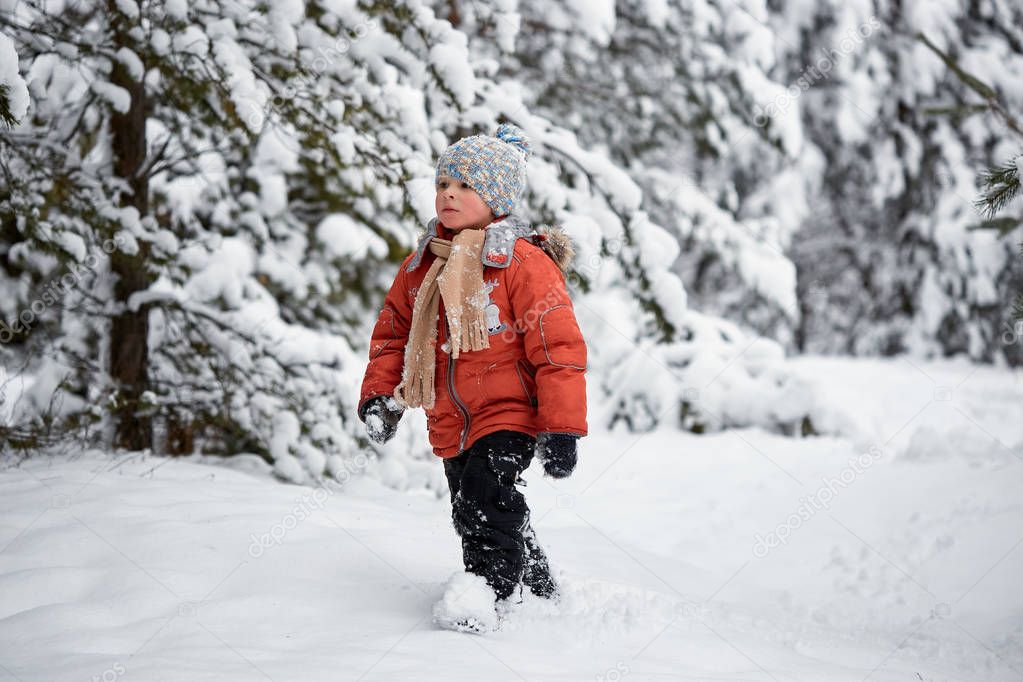 winter fun. the boy alone wanders through the winter snowy forest.