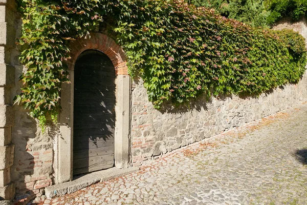 Monselice, Italia - 13 de julio de 2017: las vides verdes valla de piedra y puerta . —  Fotos de Stock