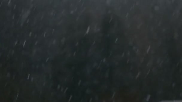 Śniegu Tle Ciemny Las Świerkowy — Wideo stockowe