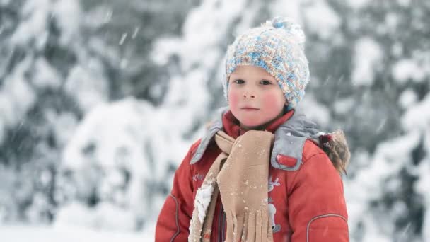 Burzy Śnieżnej Grudniu Chłopiec Śnieżnym Lesie — Wideo stockowe