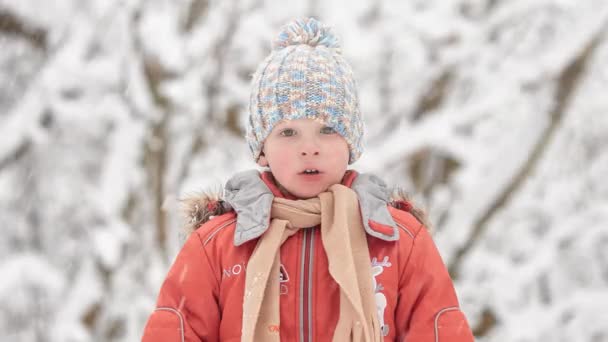 Snöstorm December Pojken Snöig Skog — Stockvideo