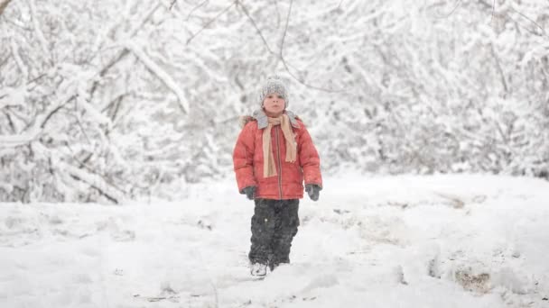 12月的暴风雪 在白雪皑皑的森林里的男孩 — 图库视频影像