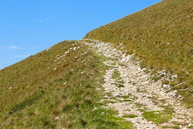 Monte Baldo 'da. İtalya. Dar taşlı yollarda bir günlük yürüyüşler.