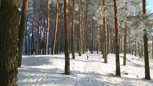 Mooi Meisje Een Roze Muts Wanten Een Winter Besneeuwde Forest — Stockvideo