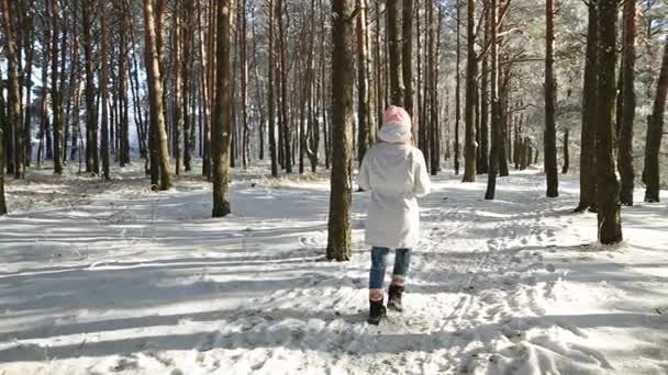 美丽的女孩在一个粉红色的帽子和手套在冬天的雪林 — 图库视频影像