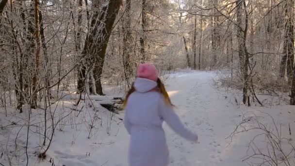 Mooi Meisje Een Roze Muts Wanten Een Winter Besneeuwde Forest — Stockvideo