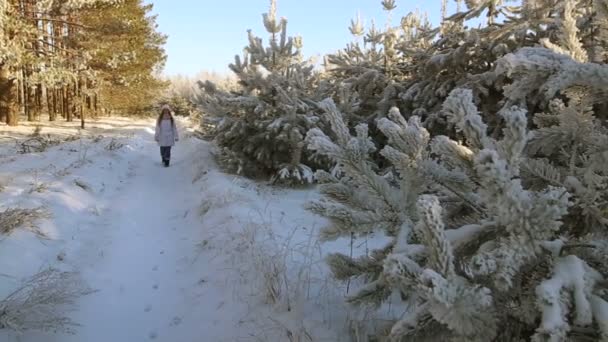 ピンクの帽子とミトン冬雪に覆われた森の中で美しい少女 — ストック動画