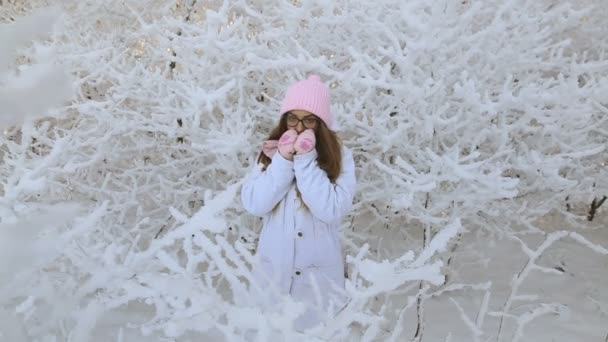 Belle Fille Dans Chapeau Rose Mitaines Dans Une Forêt Enneigée — Video