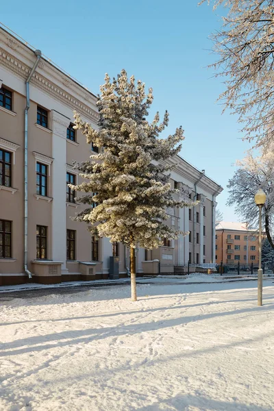 Χειμώνας πόλη δέντρο με λευκά ρούχα χιονισμένο. — Φωτογραφία Αρχείου