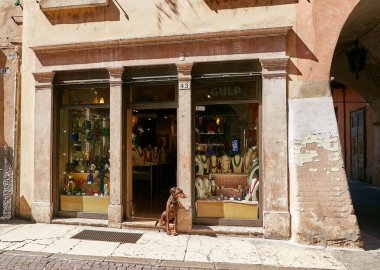 Verona, İtalya - 17 Ağustos 2017: Verona, dar sokak. köpek Dükkanı pencerenin önünde oturur.