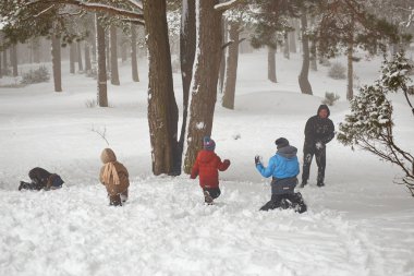 Grodno, Belarus - 7 Mart 2018: Sanatoryum Porechye Gölü Molochnoe üzerinde. Bir grup çocuk bir karlı kış ormanda snowballing.