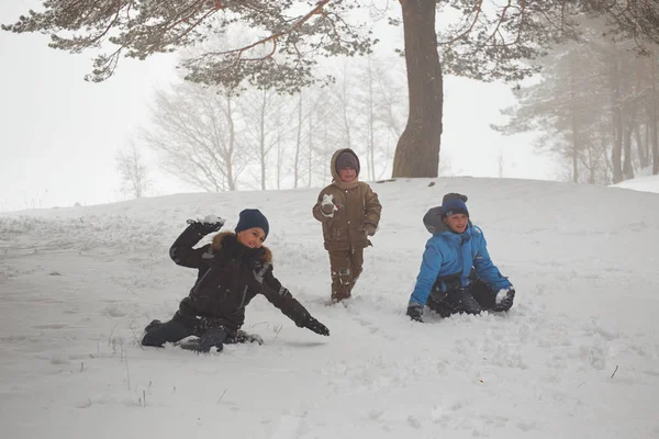 Χρόντνα, Λευκορωσία - 7 Μαρτίου 2018: Σανατόριο Porechye σχετικά με τη λίμνη Molochnoe. Μια ομάδα παιδιών Χιονοπόλεμος σε ένα χειμώνα χιονισμένο δάσος. — Φωτογραφία Αρχείου