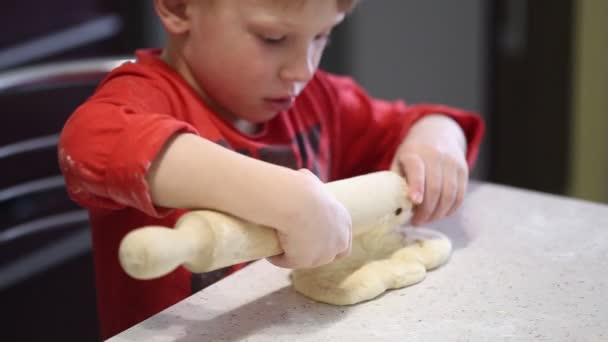 Les Mains Des Enfants Pétrissent Une Pâte Fine Pour Pizza — Video