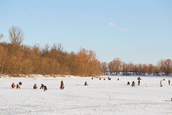 Gomel, Belarus - 24 Mart 2018: Kış balıkçılık. Balıkçılar buz üstünde balık yakalamak.
