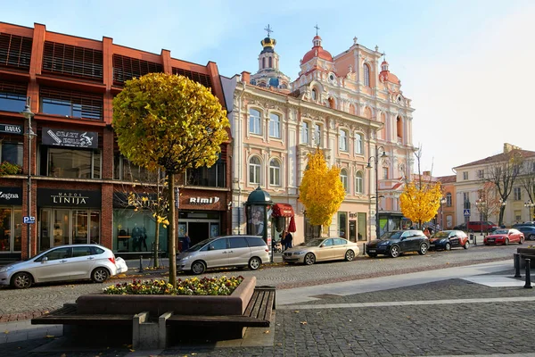 Vilnius, Litvánia - 2017. November 5.: Városháza tér az őszi időben. — Stock Fotó