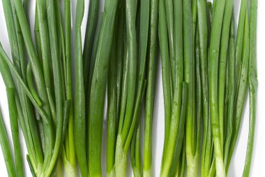 beyaz zemin üzerine yeşil soğan. Bahar doğal vitaminler