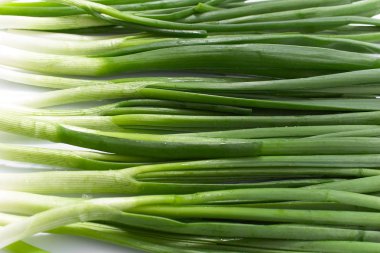 beyaz zemin üzerine yeşil soğan. Bahar doğal vitaminler