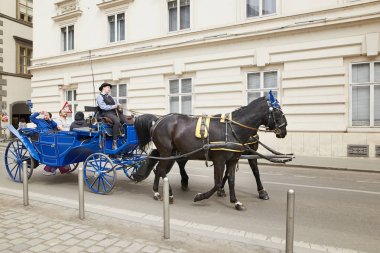 Vienna, Avusturya - 15 Nisan 2018: turistler için atları ile mürettebat.