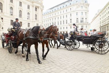 Vienna, Avusturya - 15 Nisan 2018: bir taksi şoförü bir at arabası ile iki at nalı içinde turistler şehre sürücüler.