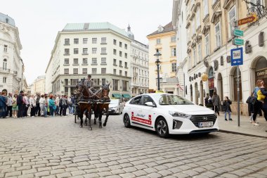 Vienna, Avusturya - 15 Nisan 2018: bir taksi şoförü bir at arabası ile iki at nalı içinde turistler şehre sürücüler.