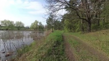 Belarus. Bahar. Yüksek su dönemde tepedeki orman.