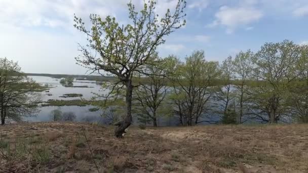 Bělorusko Jaro Lesa Kopci Období Vysokého Stavu Vody — Stock video
