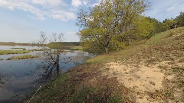 Biélorussie Le printemps. Forêt sur une colline dans la période des hautes eaux .