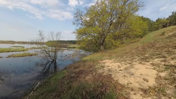 Wit Rusland Lente Bos Een Heuvel Periode Van Hoog Water — Stockvideo