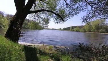 Bahar peyzaj göl güneşli günde.