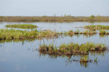 Bahar. sel ovası bir nehirle doldu..