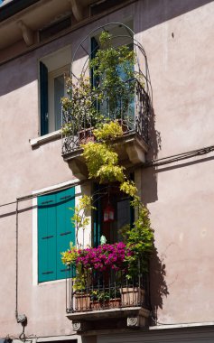 Eski şehir binasının pencere ve kapıları. İtalya Vicenza