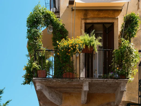 Fenêtre et les portes de l'ancien bâtiment de la ville. Italie Vicence — Photo