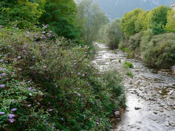 Prowincja Vicensa. Górska rzeka w pobliżu miejscowości Localita Pria — Zdjęcie stockowe