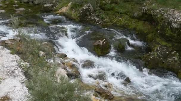 Provincia de Vicensa. Río de montaña cerca del pueblo de Localita Pria — Vídeo de stock