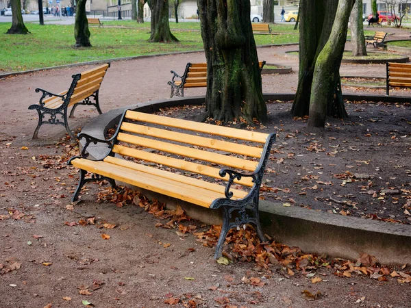 Ukrayna, Lviv caddesindeki banklar — Stok fotoğraf