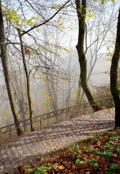 Nevoeiro no parque da cidade de Lviv, Ucrânia — Fotografia de Stock