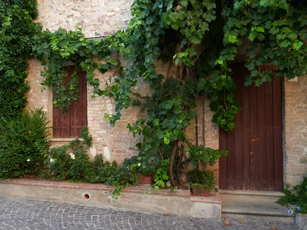 Krajobraz na ulicy starego miasta Arkua Petrarka, Włochy — Zdjęcie stockowe