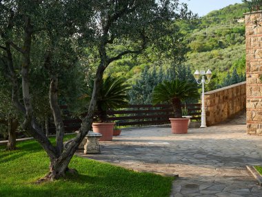 Arka Petrarka, İtalya - 13 Ağustos 2019: Padua kenti yakınlarındaki dağlık resimli köy