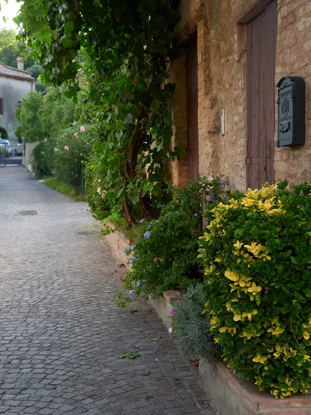 Landschaftsbau auf der Straße der Altstadt arkua petrarka, Italien — Stockfoto