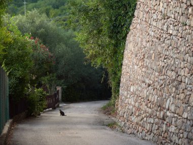 Arka Petrarka, İtalya - 13 Ağustos 2019: Padua kenti yakınlarındaki dağlık resimli köy