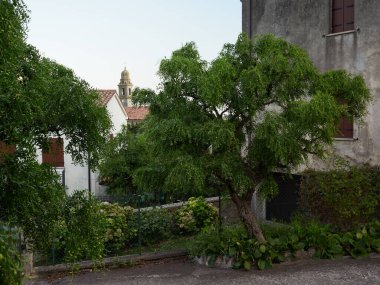 Arka Petrarka, İtalya - 13 Ağustos 2019: Padua kenti yakınlarındaki dağlık resimli köy