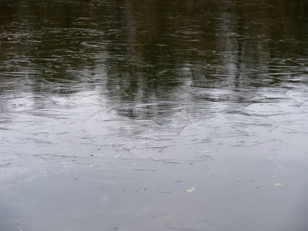 Cold autumn morning, the first ice on the lake. — Stock Photo, Image