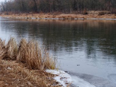 Soğuk sonbahar sabahı, göldeki ilk buz.