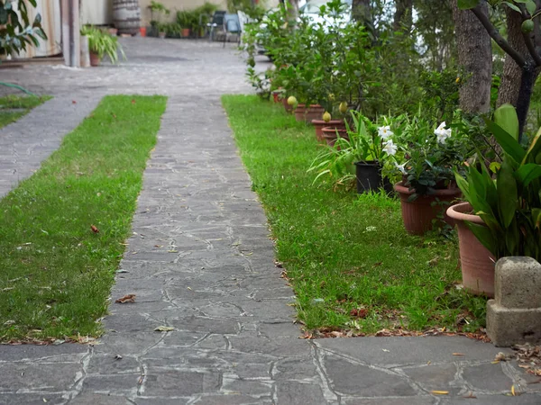 Landscaping on the street of the old town ARKUA PETRARKA, ITALY — ストック写真