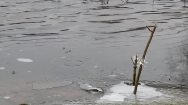 Zimny Jesienny Poranek Pierwszy Lód Jeziorze — Wideo stockowe