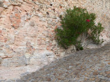 İtalya 'nın eski Arkua Petrarka kentinin sokaklarında peyzaj.
