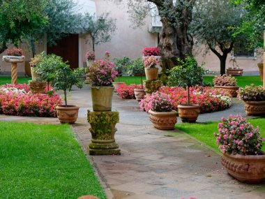 Montagnana, İtalya - 26 Ağustos 2019: Zeytin ve çiçekli küçük yeşil avlu.