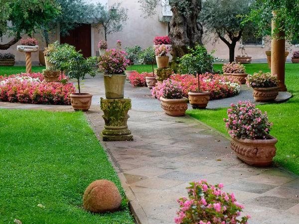 Montagnana, ITALY - August 26, 2019: Small green courtyard with olive and flowers. — Stock Photo, Image