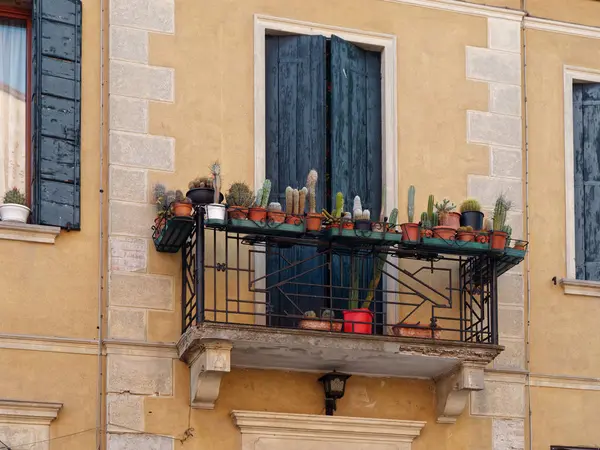 Montagnana, ITALIE - 26 août 2019 : Cactus assortis sur le balcon d'une vieille maison — Photo