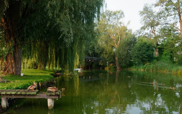Parque área de recreação junto ao lago. Wolsztyn, Polónia — Fotografia de Stock